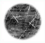 fig3