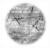fig4