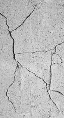 immagine desaturata
